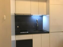 Lincoln Suites (D11), Condominium #498285081